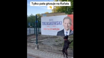 Pies, który nie głosuje, ale też nie lubi Rafała [Wideo]