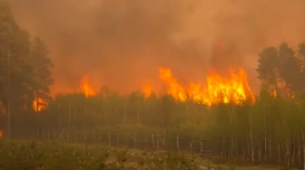 Trwa dramatyczna walka z pożarem pod Biłgorajem [Wideo]