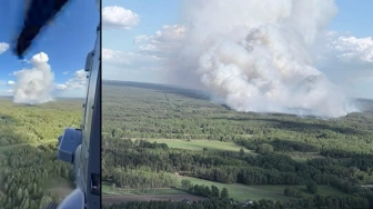 Groźny pożar lasów na Mazowszu. Do akcji ruszył policyjny Black Hawk
