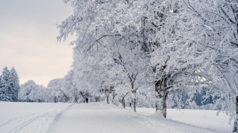 Atak zimy już w ten weekend – nawet –14°C, śnieg i zamiecie