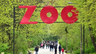 Siano z Niemiec w warszawskim zoo? Trzaskowski: czy nie powinniśmy się cieszyć?