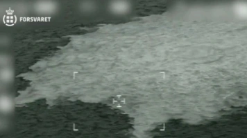 Atak na NS. Włosi przekazali Serhija K. Niemcom