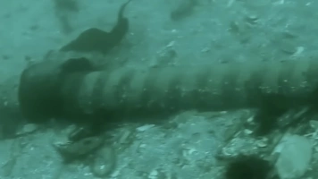 „Połączenie Polska-Szwecja wyłączone”. Doszło do awarii podwodnego kabla