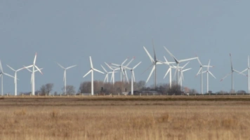 Estonia też nie chce farm wiatrowych - brak wsparcia państwa i zagrożenie dla bezpieczeństwa