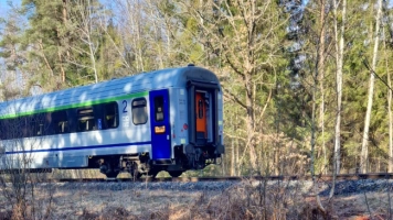 Wypadek na Podlasiu. Pociąg osobowy zderzył się z żubrami