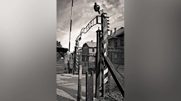 Presja ma sens! Niemcy zdejmują skandaliczną aukcję