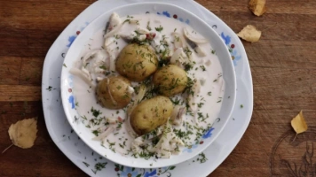Kuchnia mojej mamy: Polewka śledziowa z kartoflami w mundurkach