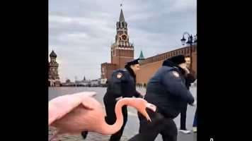 Moskwa drży przed „ukraińskimi flamingami” [Wideo]