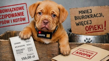 KROPiK „ma tylko dać posady dla swoich”?