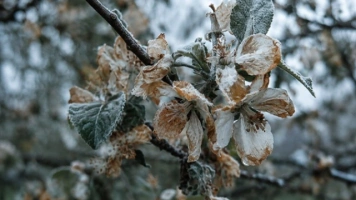 Nocne przymrozki wracają do Polski. IMGW ostrzega przed spadkiem temperatury poniżej zera