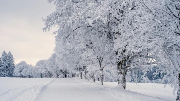 Atak zimy już w ten weekend – nawet –14°C, śnieg i zamiecie