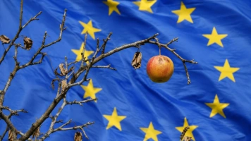 Kuźmiuk: Wygląda na to, że pomoc przymrozkowa UE będzie dopiero w grudniu i to w wysokości „na waciki”