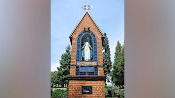 Wspólna inicjatywa PSL, PiS i Konfederacji. Lewica oburzona