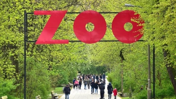 Siano z Niemiec w warszawskim zoo? Trzaskowski: czy nie powinniśmy się cieszyć?