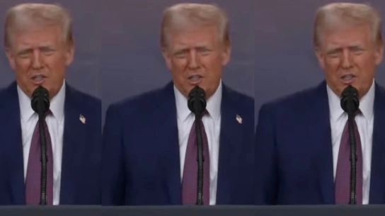 Z. Szczęsny: Wziąć Grenlandię, a „kwiczące cioty” z Europy pozostawić samym sobie