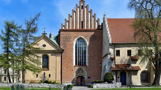 Wyjątkowy odpust zupełny przez odwiedzanie kościołów na Rok św. Franciszka