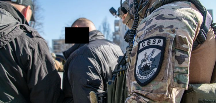 Cela plus: Wysyłali do USA leki z subsatncjami psychotropowymi. Gang rozbity przez CBŚP