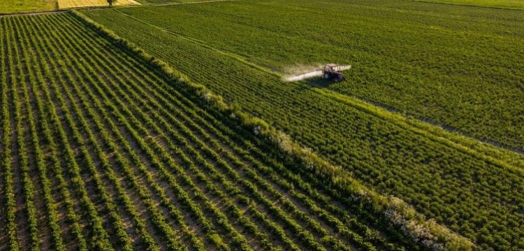 Polska jako jedyny kraj UE uruchamia program dopłat do cen nawozów sztucznych