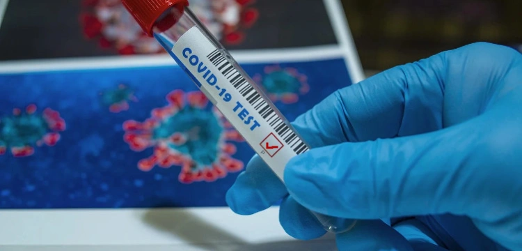 W Polsce wykryto pierwszy przypadek mutację południowo-afrykańską koronawirusa 