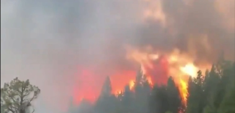 ,,Chmury ognia’’ w stanie Oregon. Spłonęło już kilkaset domów