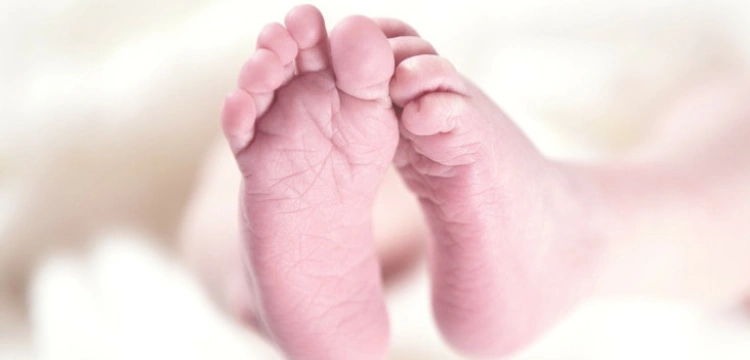 Wrocław. Półroczna dziewczynka w oknie życia 