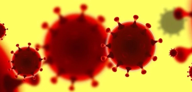 Niemieccy eksperci: Omikron mógł powstać u osób zakażonych wirusem HIV