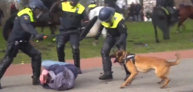 Kaleta: MS wystąpiło do Rady EU ws. brutalności policji w Holandii w tracie ostatnich manifestacji