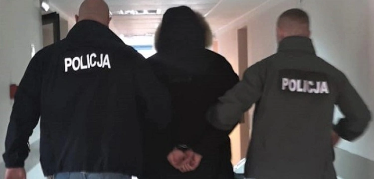 Cela plus. Rozbita grupa wyłudzająca VAT. Aresztowano 6 osób – oszukali na ponad 15 mln złotych