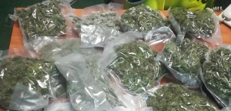 Cela Plus! Policjanci zabezpieczyli ponad 26 kilogramów marihuany