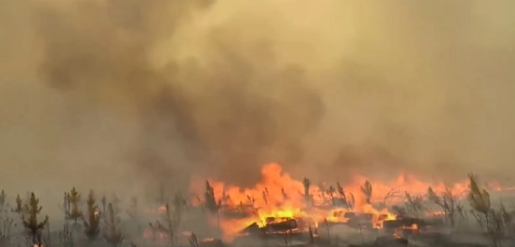 Ogromne pożary w Argentynie – ludzie modlą się do Maryi o ratunek i deszcz