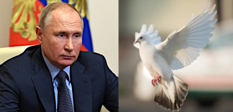 Niemcy chcą poskromić Putina gałązką oliwną 