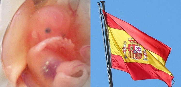 Hiszpański TK przez 11 lat nie zdążył orzec ws. aborcji. Prawnicy skarżą go do Strasbourga