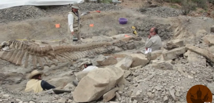 [Wideo] W Meksyku odkryto szczątki nieznanego dotychczas ,,gadatliwego'' dinozaura