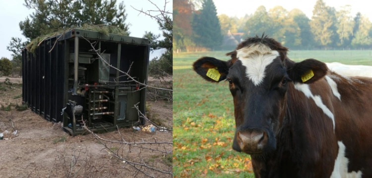 Krasuchę-4 będą ,,doić’’ Amerykanie