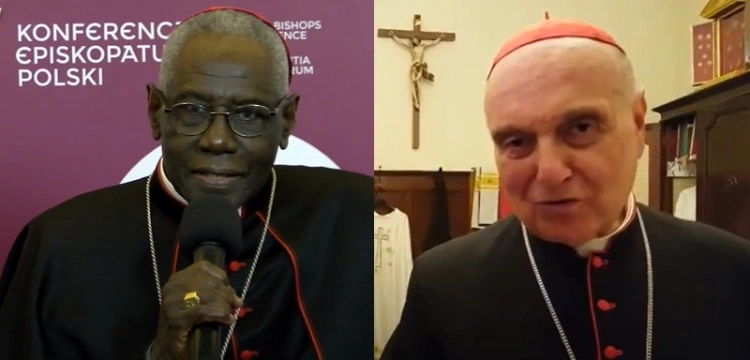 Rezygnacja kardynałów Saraha i Comastriego. Papież przyjął ich rezygencję