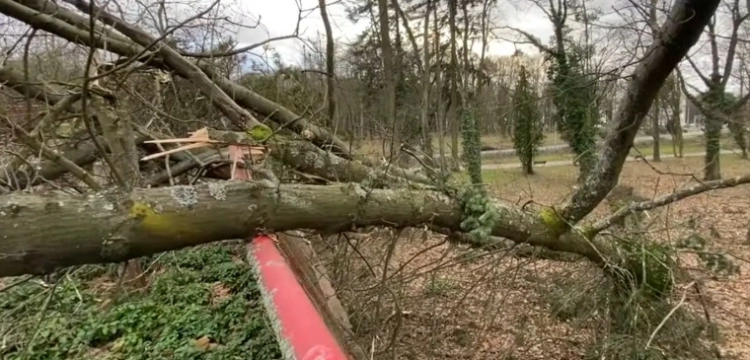 Orkan Eunice zbiera żniwo w Polsce 