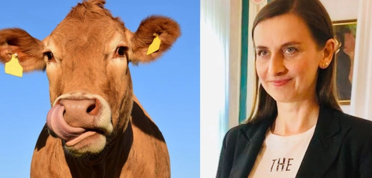 LGBT, aborcja, prawa gwałconych krów… Spurek ma kilka pytań do kandydata na RPO 