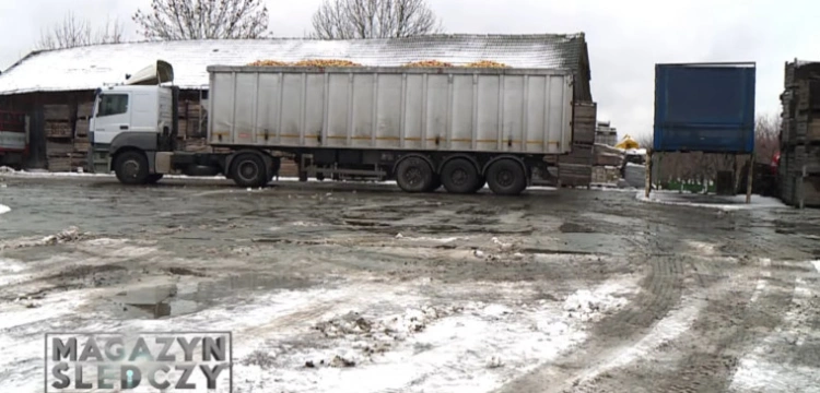 Tajemniczy Polak i ukraiński oligarcha oszukali polskich sadowników na miliony