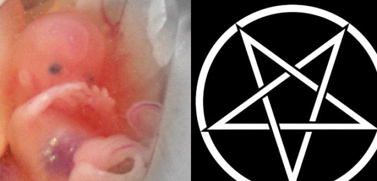 Teksas: Sataniści żądają prawa do ,,rytuału aborcji’’