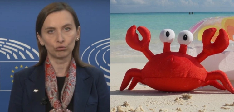 Kraby i homary maja głos w PE