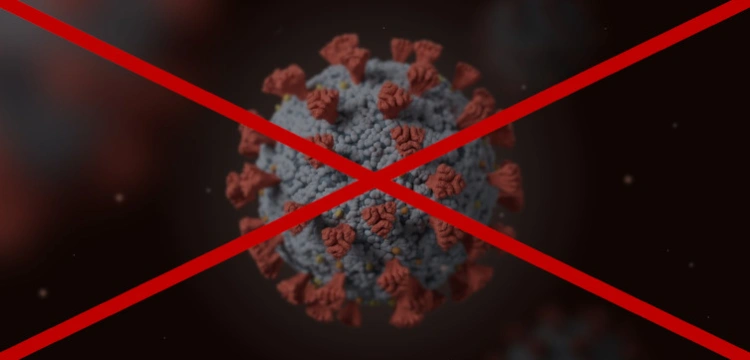 Naukowcy: Szwecja pokonała koronawirusa