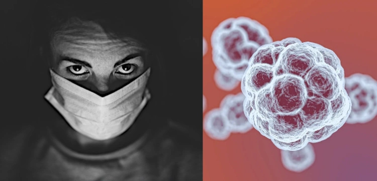 Grozi nam nowa pandemia rodem z Chin?! Agresywny wirus atakuje świnie, zagraża też ludziom!