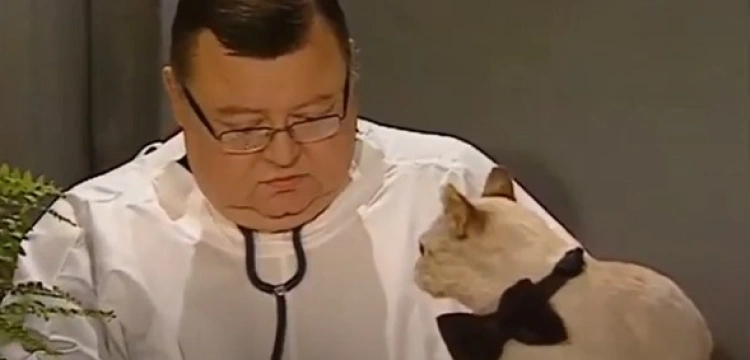 Mann kpi z obostrzeń sylwestrowych: Można wychodzić tylko po karmę dla kota [Wideo]
