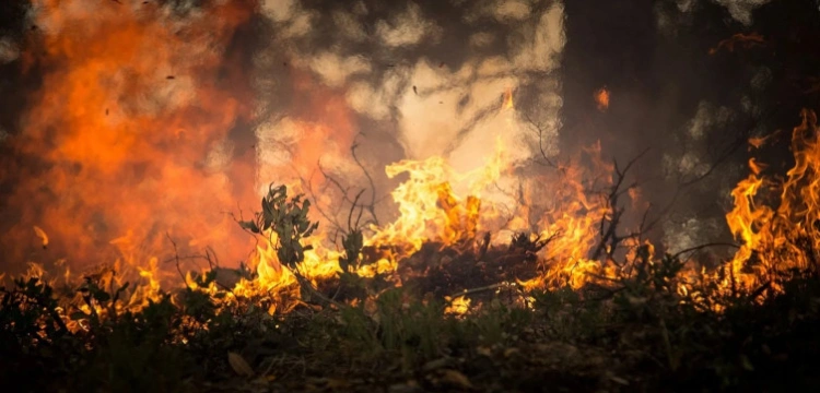 Płonie Biebrzański Park Narodowy. Ważna decyzja premiera Morawieckiego