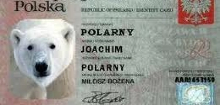 Masz ważny dowód? Jeśli nie, zapłacisz 5 tys. zł