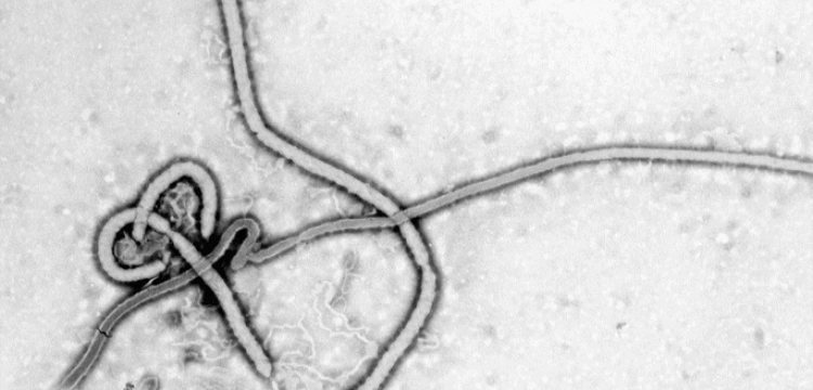 Ebola może doprowadzić do upadku państw
