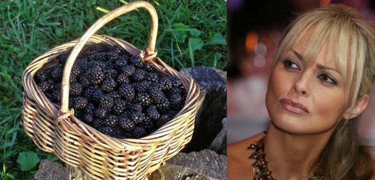 Jeżyna - źrodło slowiańskiej urody i zdrowia