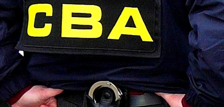 Prof. Zybertowicz: Platforma chce kontrolować sama siebie