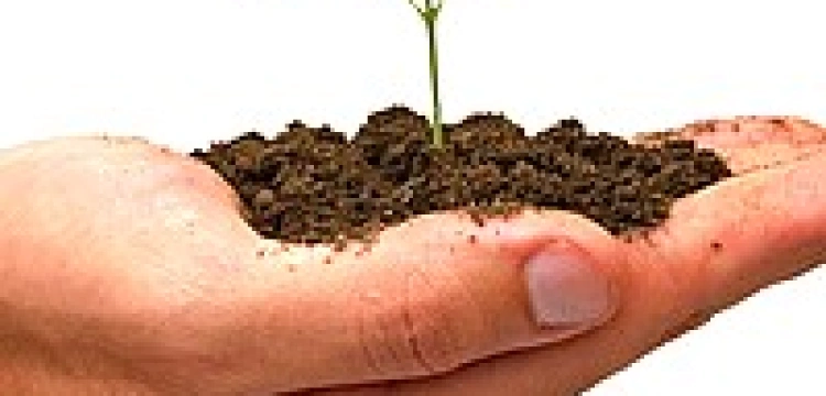 Ważą się losy jednoroczniaka. Jego matka nie che, aby żył