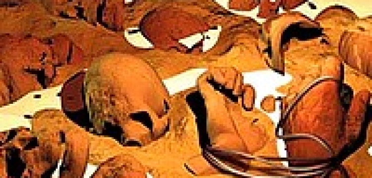 Odkryto zbiorową mogiłę ofiar Stalina